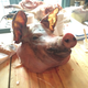 Illustration for article titled Runway Food Run Amok: Crowning Aspens King Of Porc